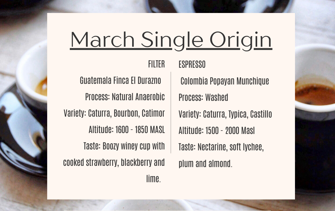 Single Origin of the Month - 250g