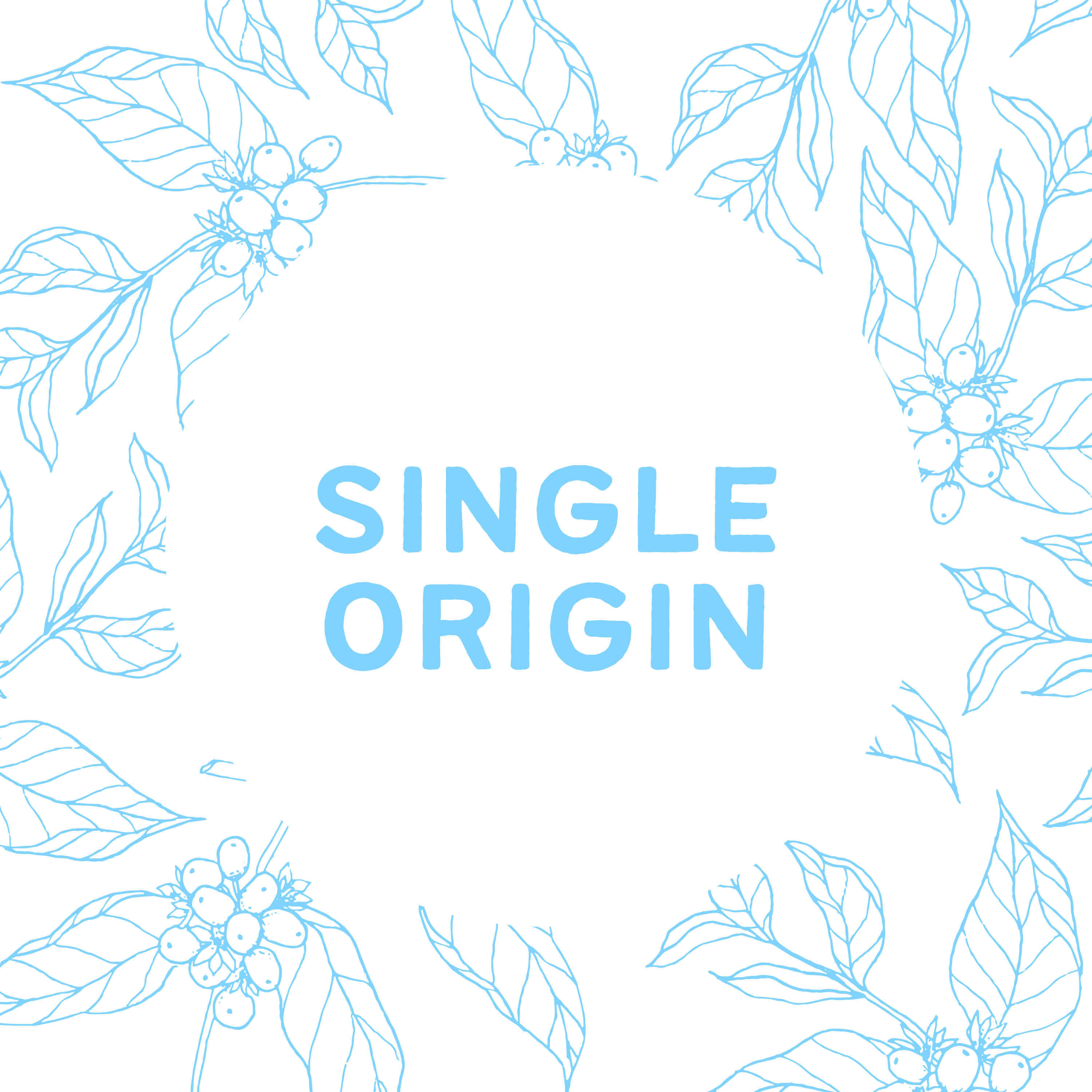 Single Origin of the Month - 250g